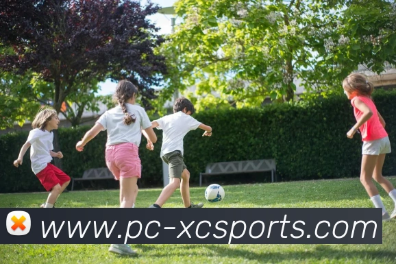 App Interface Preview