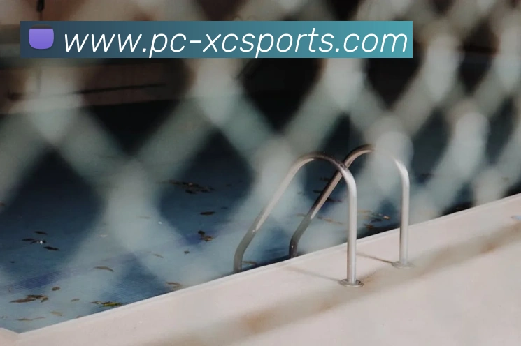 体育下注APP 封面图