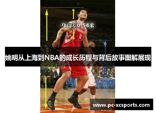 姚明从上海到NBA的成长历程与背后故事图解展现