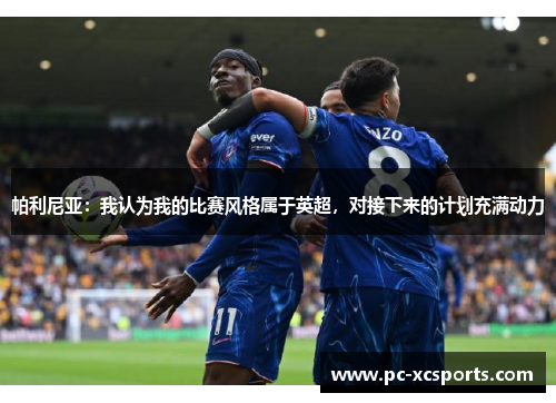 帕利尼亚：我认为我的比赛风格属于英超，对接下来的计划充满动力