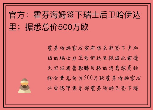 官方：霍芬海姆签下瑞士后卫哈伊达里；据悉总价500万欧